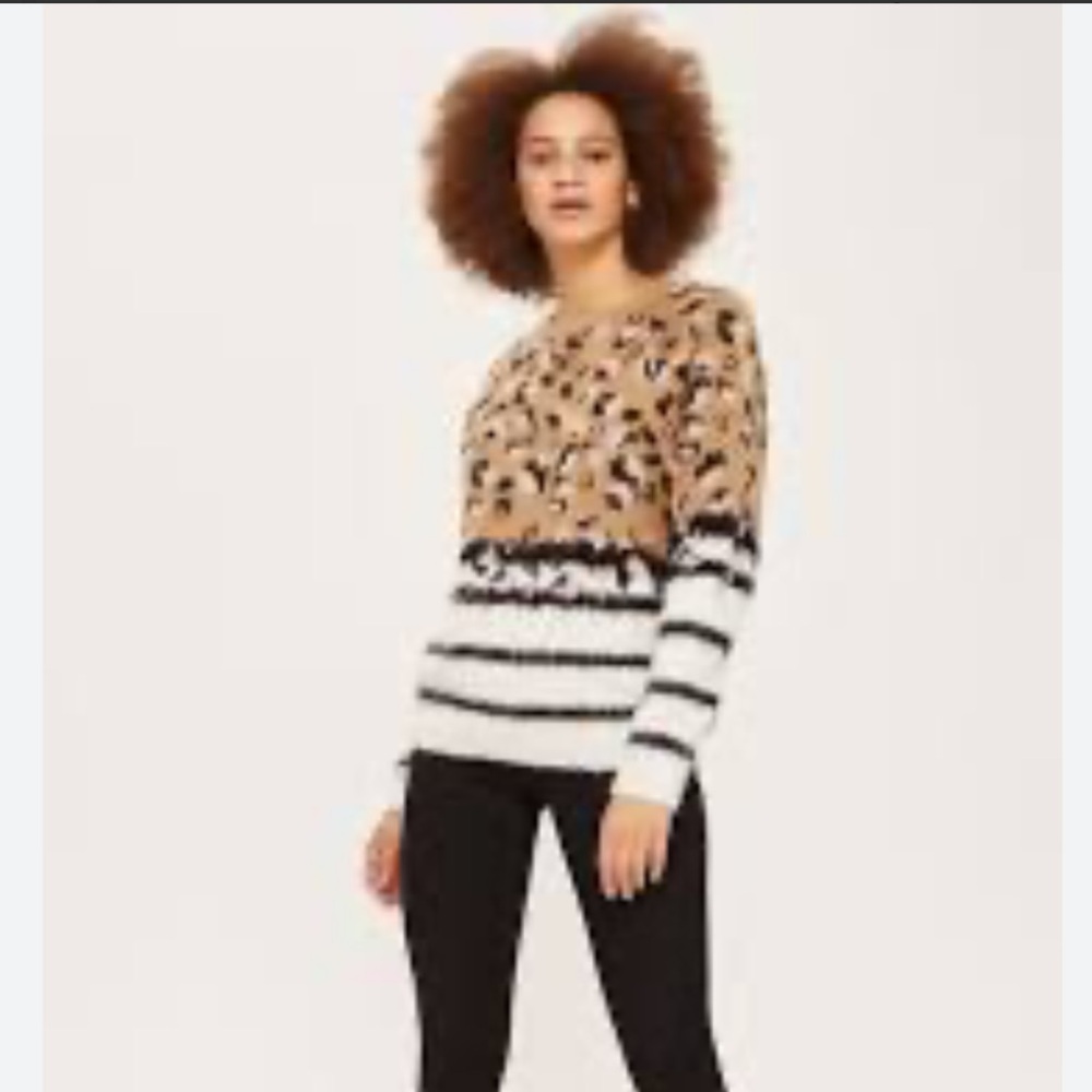 Topshop Leopard and Stripes Sweater